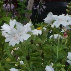 Meet your Posher, Terry